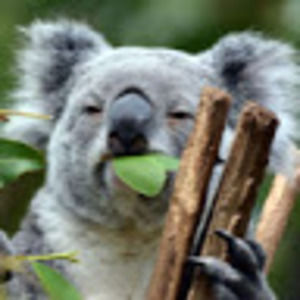 Meet your Posher, Jane